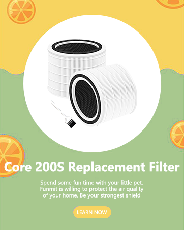 Core 200S