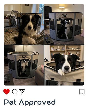 rest-eazzzy dog playpen