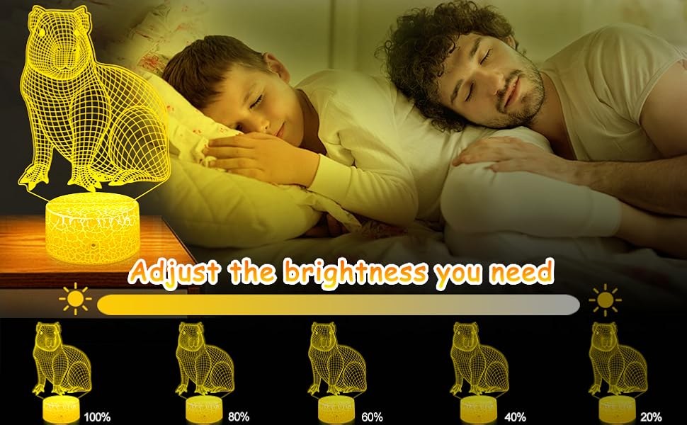 adjustable brrightness,sleep night light ,bedroom decoration