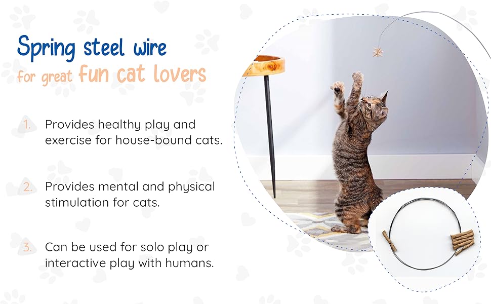 Interactive cat toy