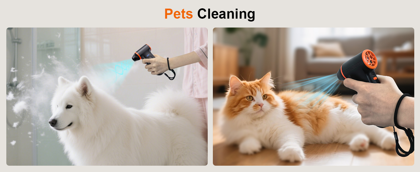 X117 Pets Cleaning