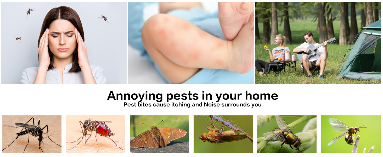 fly swatters