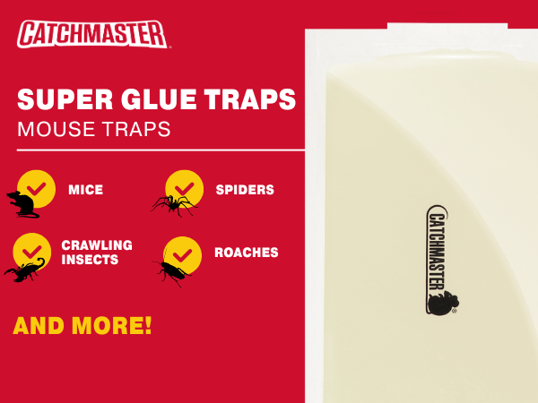 75M peanut butter scented super glue mouse trap
