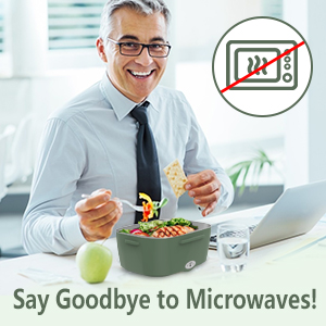 electric lunch box for car