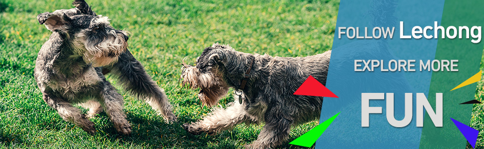 animal dog toys