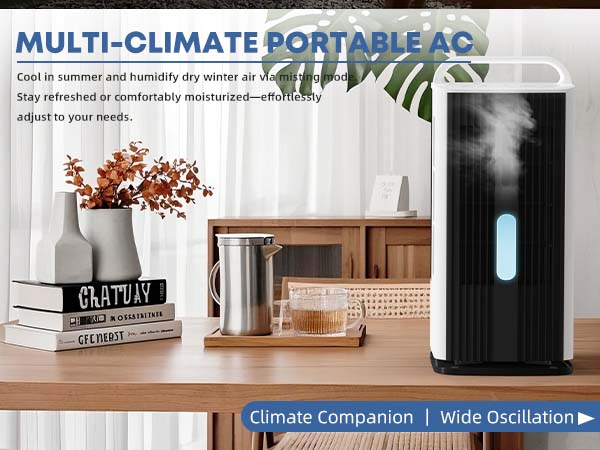 Portable Air Conditioners