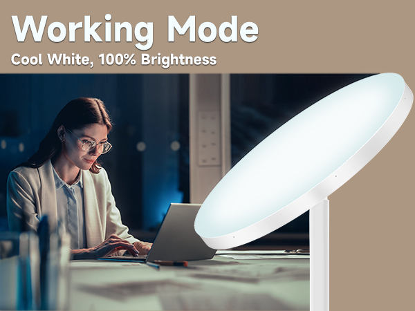 Modern Floor Lamp
