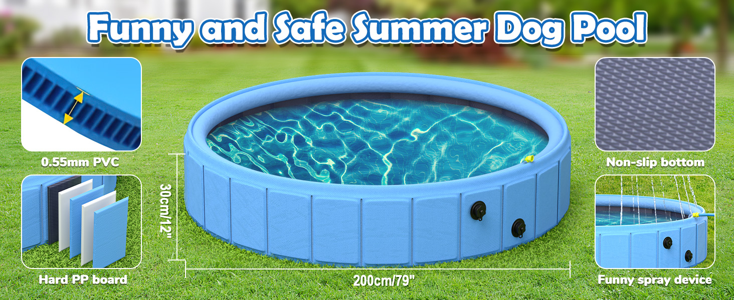 dog pool