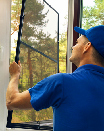window screen