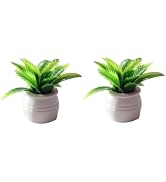 2 Pieces Dollhouse Decoration Plant Pots Miniature Green Potted Bonsai Model Dollhouse Accessorie...