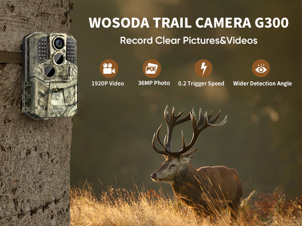 trail camera