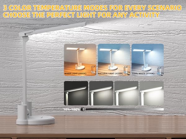 Zensun LED Desk Lamp