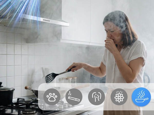 hepa smart home air purifiers
