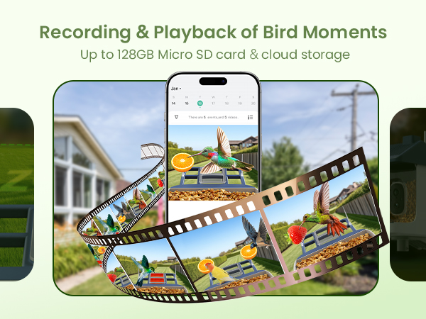 bird houses with live camera