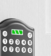 akagear DS10 MINI smart door lock