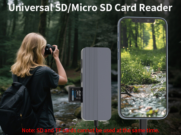 SD/Micro SD Card Reader