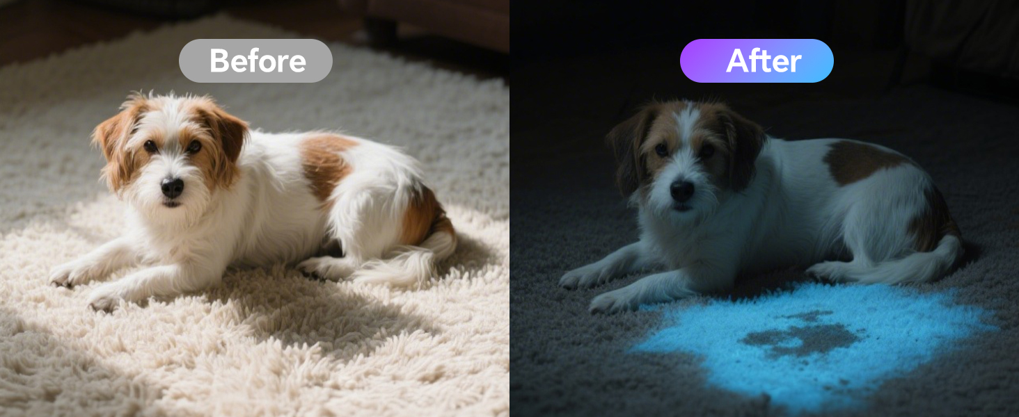 Pet Urine Detection