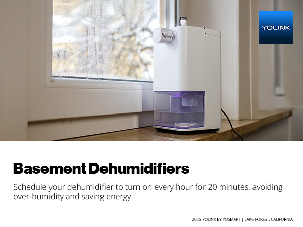 Basement Dehumidifiers 