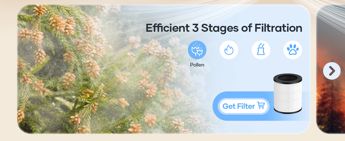 air purifier for pollen