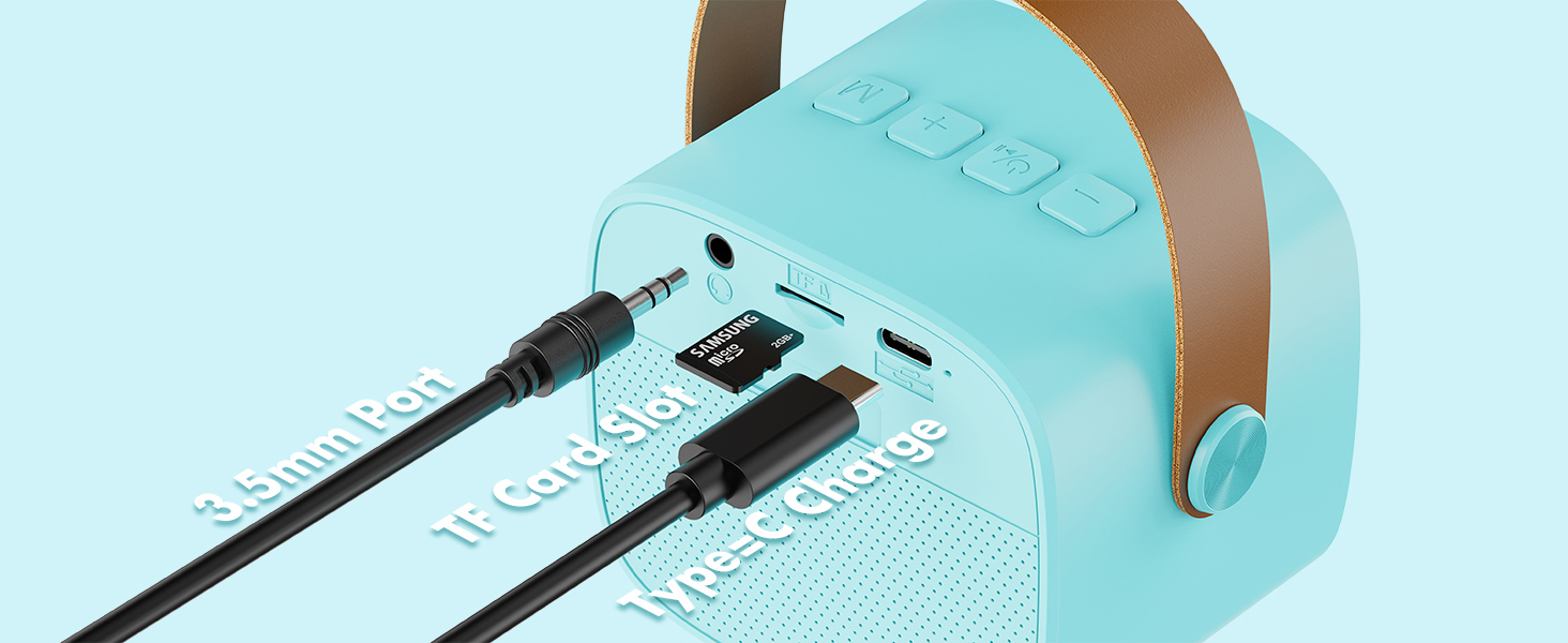 Karaoke Machine with 2 Wireless Microphones