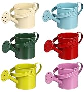6Pcs Watering Can Metal Watering Can Mini Gardening Watering Tin Small Water Can Cute Sprinkling ...