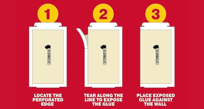 Step 1, 2, 3