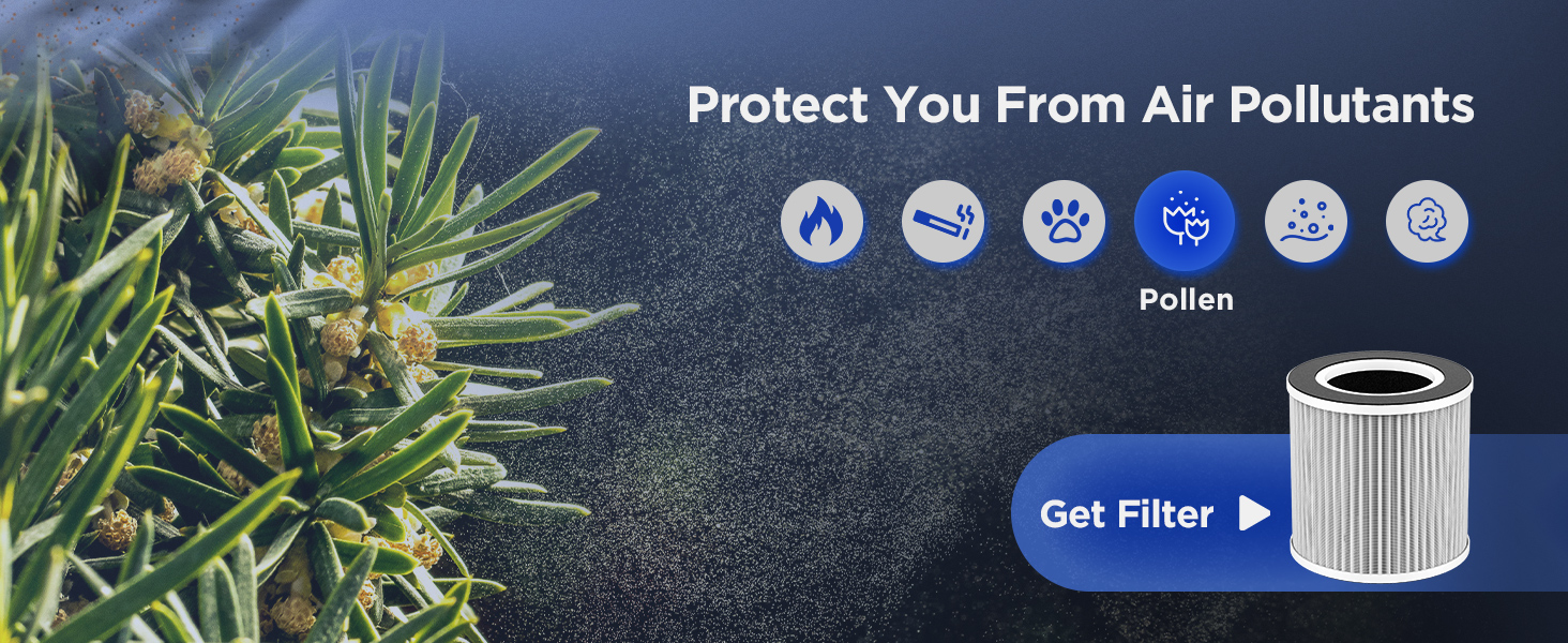 air purifiers for allergies