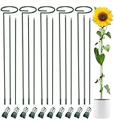Unves 36 Inch Plant Stakes Tall, 5 Set Plant Support Stakes for Indoor or Outdoor, Three Sizes(12...