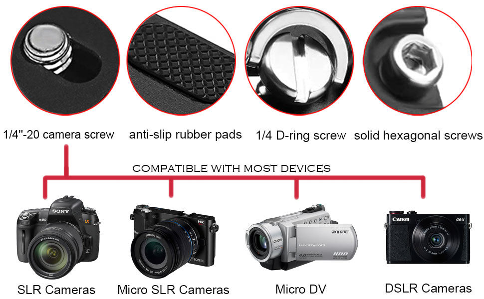 camera mount for cannon