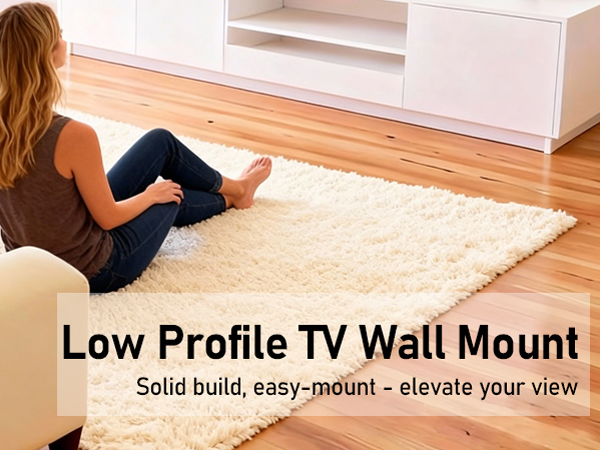 TV MOUNT 32 IN