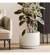 LE TAUCI 12 Inch Pots for Plants, Ceramic Plant Pots with Drainage Holes and Saucers, Elegant and...