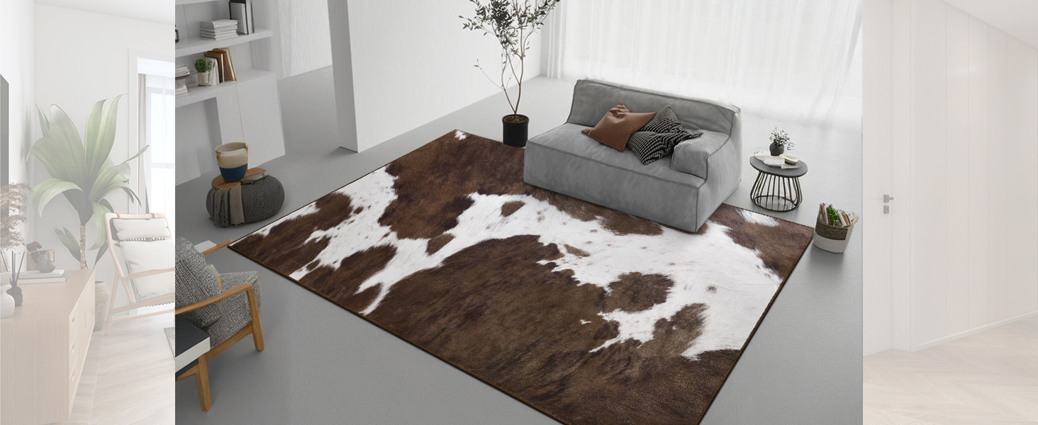 Rugs for Home Decor