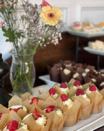 Tulip Cupcake Liners
