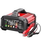 YONHAN 25A Battery Charger &amp; Maintainer,12V/24V All-in-One Charger for LiFePO4, Lead Acid, AGM, L...