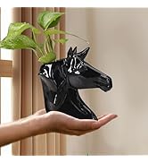 Cute Ceramic Succulent Horse's Head Garden Pots w/Pottery Quality Finish, Cute Planting Pot, Indo...