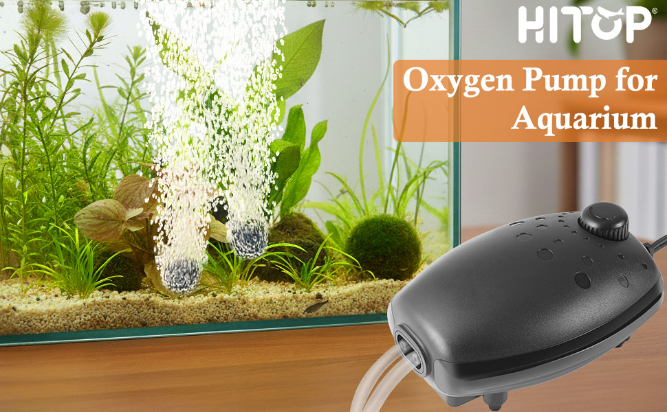 fish tank air pump
