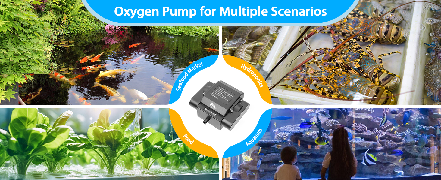 aquarium air pump