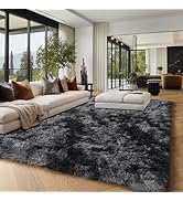 PAGISOFE Dark Grey Large Area Rugs for Living Room Carpet, 8x10 Rug, Big Fluffy Modern Area Rug, ...