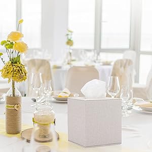 Tissue Box Holder for Dining Table