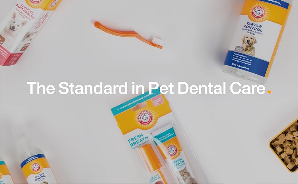 toothpaste for dogs dog breath dog mouthwash dog dental toothbrush for dogs fresh breath for dogs