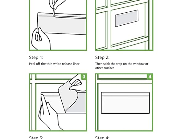 Window fly trap