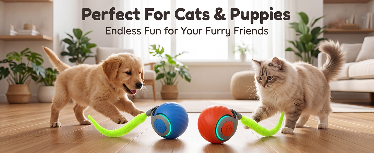 speedy tail 2.0 cat toy