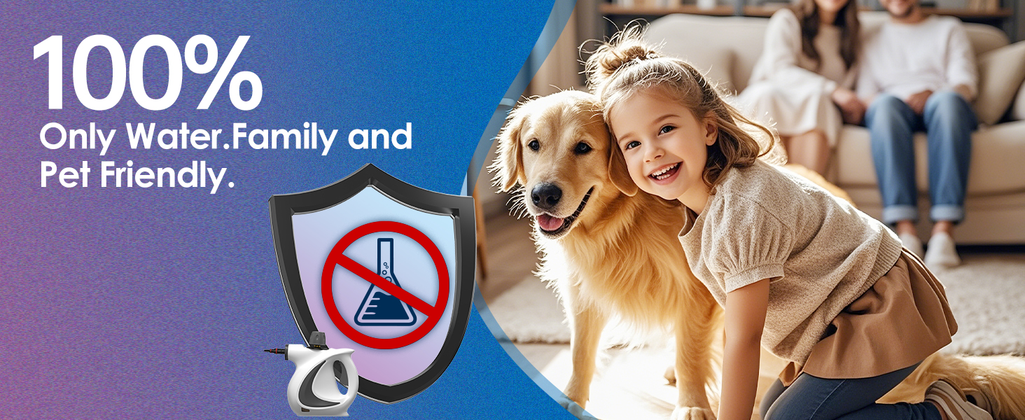 handheld steam cleaner