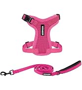 Voyager Step-in Lock Adjustable Cat Harness w. Cat Leash Combo Set with Neoprene Handle 5ft - Sup...