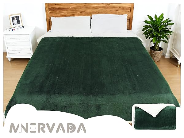 Heated Blanket Full Size