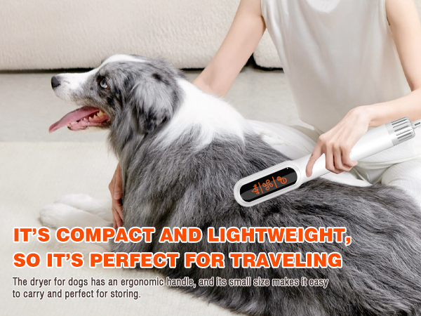 pet blow dryer for dogs