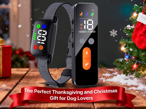 Christmas holiday gift for dog lovers