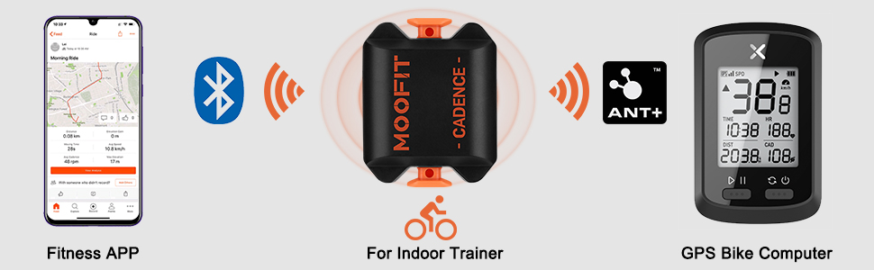 cadence speed sensor 