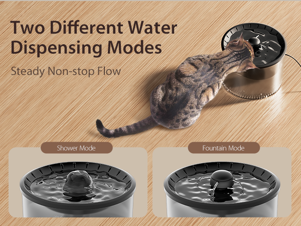 cat water and food dispenser