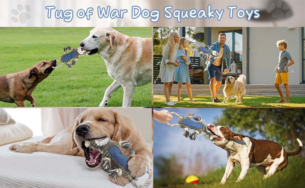 dog toys for small dogs